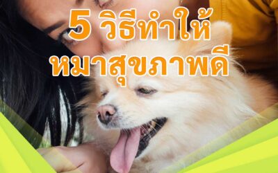 5 วิธีทำให้หมาสุขภาพดี