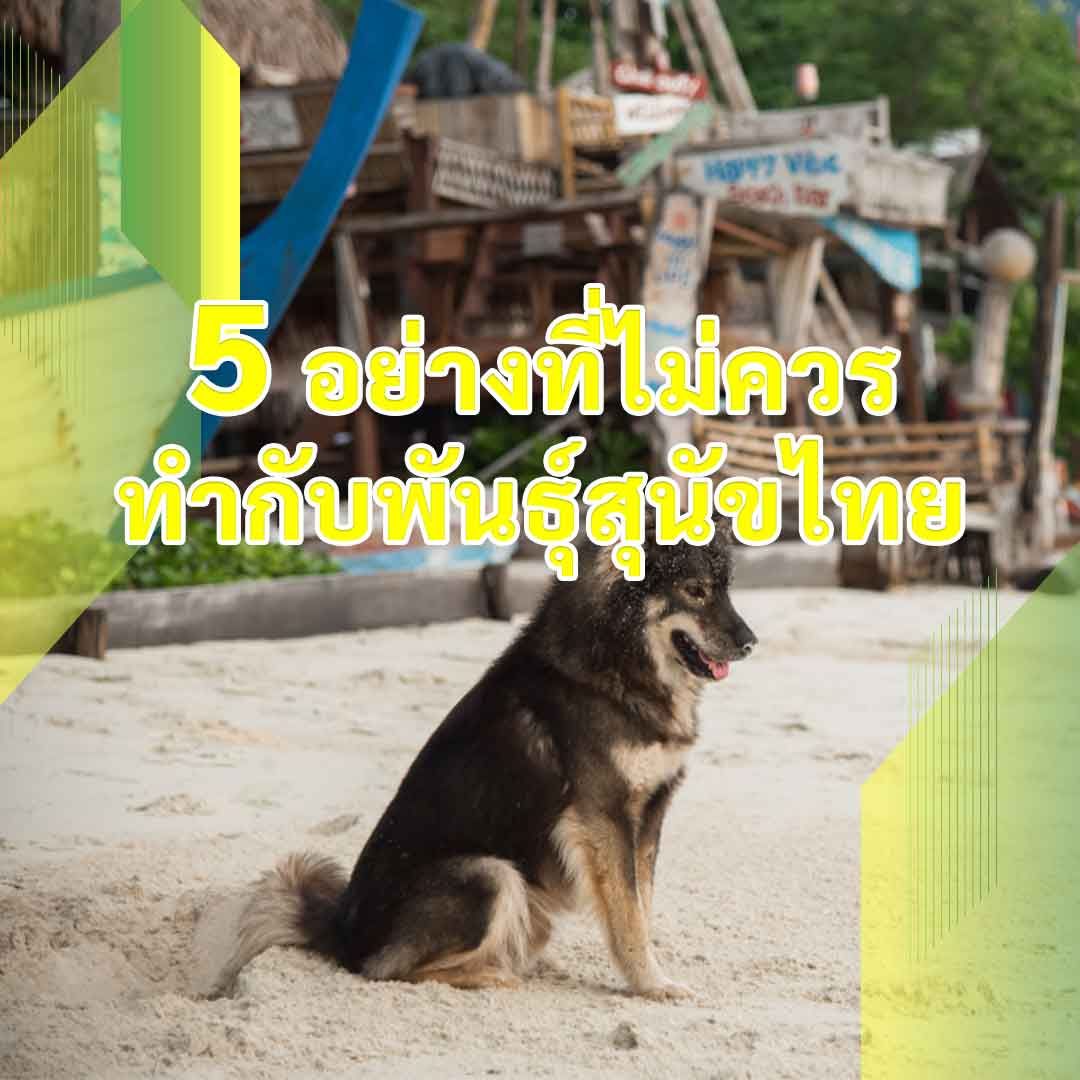 พันธุ์สุนัขไทย