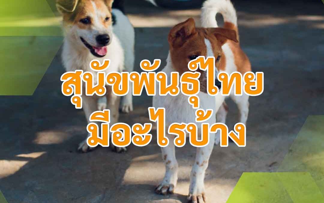 สุนัขพันธุ์ไทย มีอะไรบ้าง