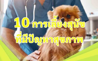 10 การเลี้ยงสุนัขที่มีปัญหาสุขภาพ